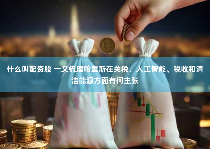 什么叫配资股 一文梳理哈里斯在关税、人工智能、税收和清洁能源方面有何主张