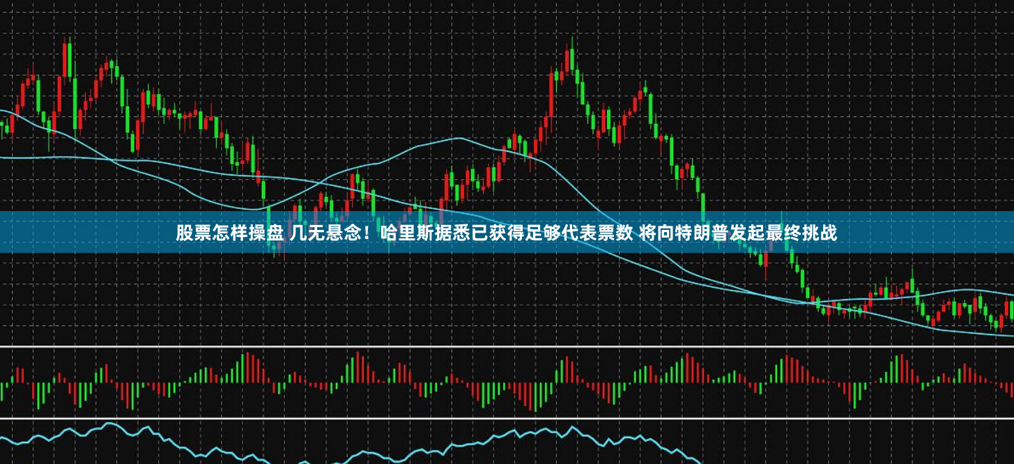 股票怎样操盘 几无悬念！哈里斯据悉已获得足够代表票数 将向特朗普发起最终挑战
