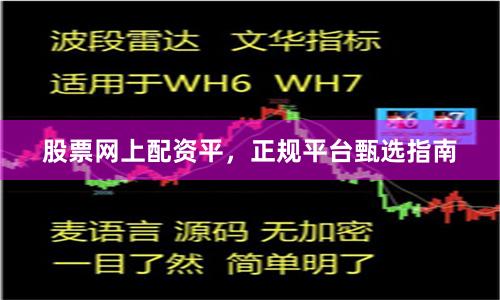 股票网上配资平，正规平台甄选指南